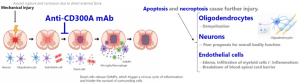 Science & Pipeline | TNAX Biopharma Corporation